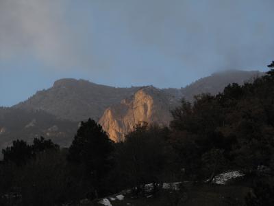 Прикрепленное изображение: IMG_4505-1.JPG